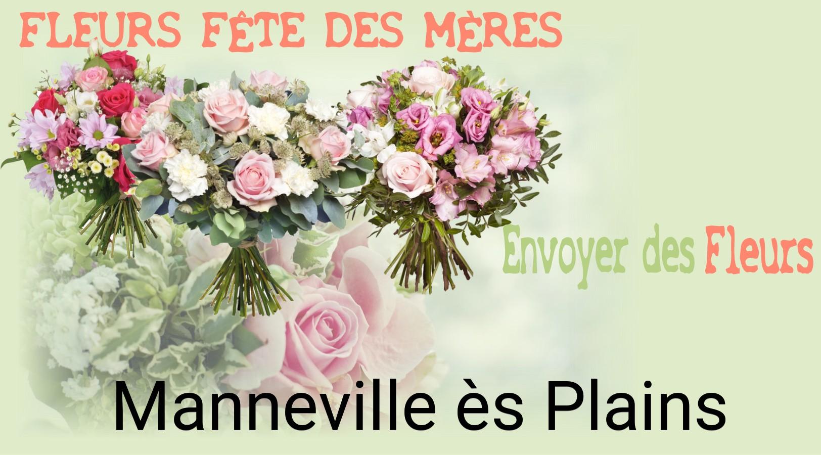 Bouquet de Fête des Mères livré à Manneville-ès-Plains